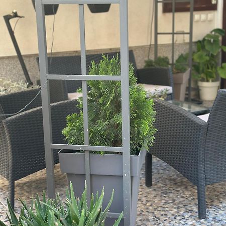 Lilyy Daire Leskovac  Dış mekan fotoğraf