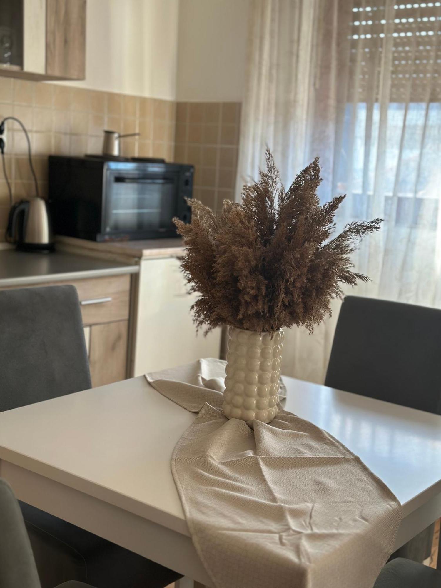 Lilyy Daire Leskovac  Dış mekan fotoğraf